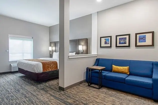 Suite King Non Smoking 1 person Sofabed