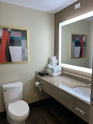 Premium Stüdyo Süit, 1 En Büyük (King) Boy Yatak, Sigara İçilmez