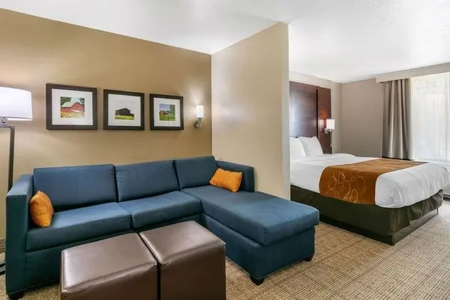 1 King Bed, Suite, Nonsmoking