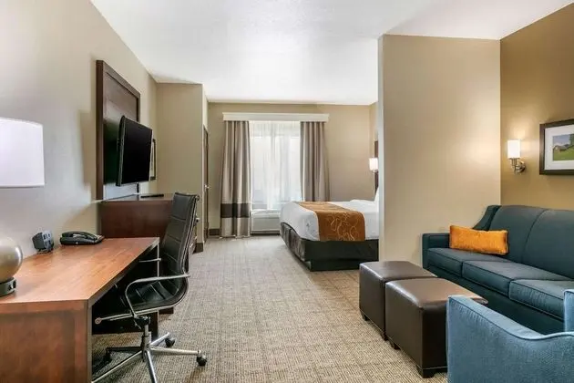 1 King Bed, Suite, Nonsmoking