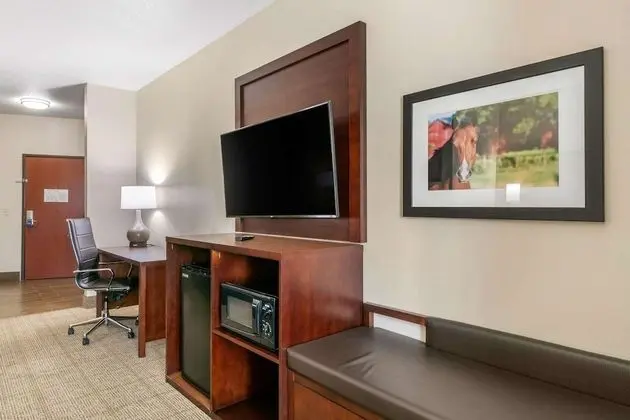 1 King Bed, Suite, Nonsmoking