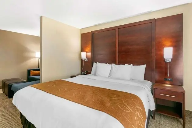 1 King Bed, Suite, Nonsmoking