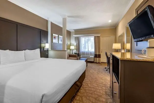 Suite, One King Bed with Sofabed, Balcony, Non Smoking