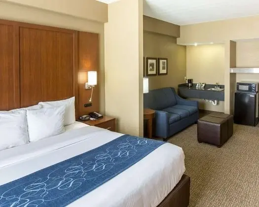 Deluxe Süit, 1 En Büyük (King) Boy Yatak ve Çekyat, Sigara İçilmez