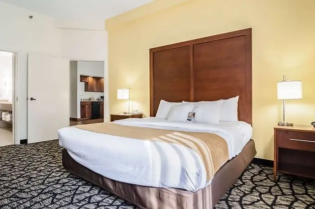 Deluxe Stüdyo Süit, 1 En Büyük (King) Boy Yatak ve Çekyat, Sigara İçilmez