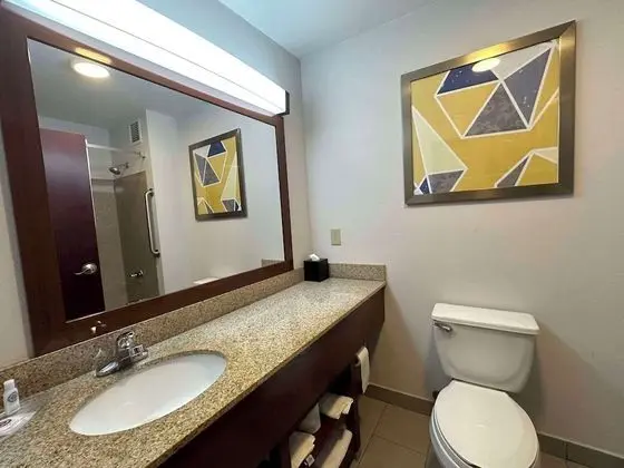 Süit, 1 En Büyük (King) Boy Yatak ve Çekyat, Engellilere Uygun, Sigara İçilmez