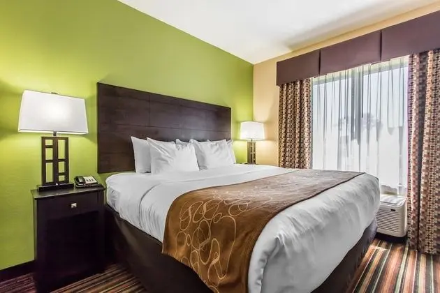 Süit, 1 En Büyük (King) Boy Yatak, Engellilere Uygun, Sigara İçilmez