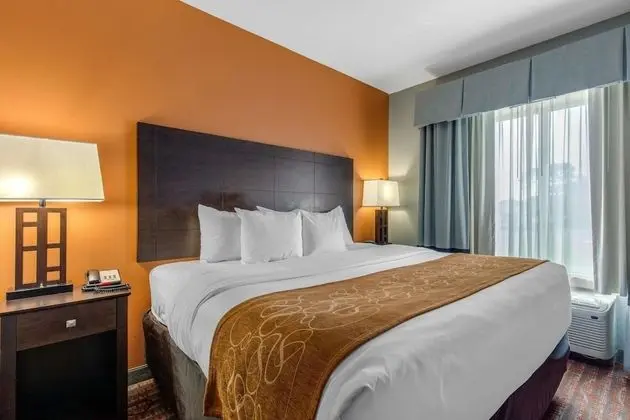 Süit, 1 En Büyük (King) Boy Yatak, Engellilere Uygun, Sigara İçilmez