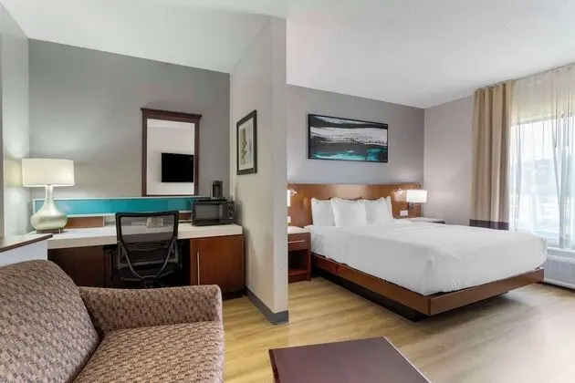 Suite, 1 King Bed with Sofa Bed Street View