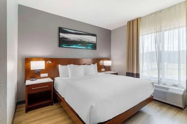 Suite, 1 King Bed with Sofa Bed Street View