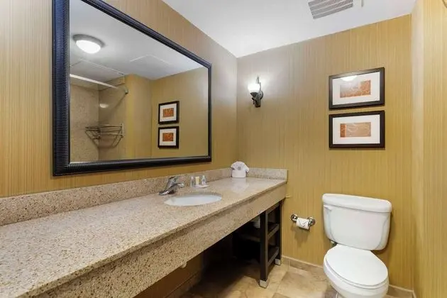 Suite, 1 King Bed with Sofa Bed Street View