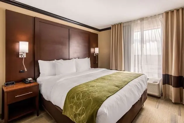 Suite King Non Smoking 1 person Sofabed