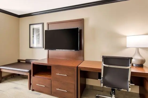 Suite King Non Smoking 1 person Sofabed
