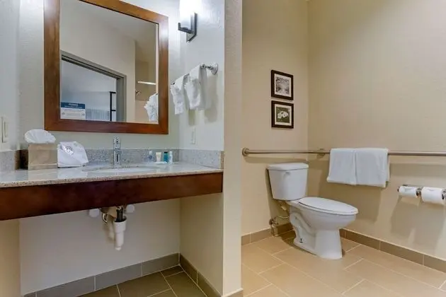 Süit, 1 En Büyük (King) Boy Yatak ve Çekyat, Engellilere Uygun, Sigara İçilmez (Roll-In Shower)