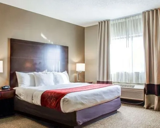 Süit, 1 En Büyük (King) Boy Yatak ve Çekyat, Sigara İçilmez (1 Person Sofa Bed)