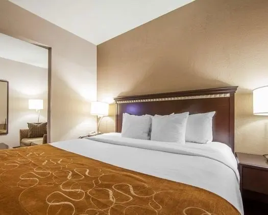 Süit, 1 En Büyük (King) Boy Yatak, Engellilere Uygun