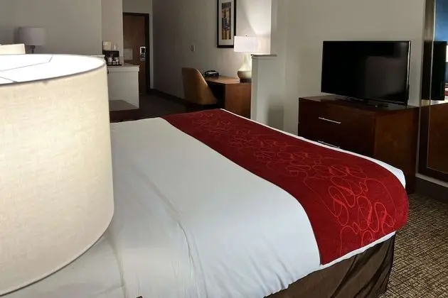 Süit, 1 En Büyük (King) Boy Yatak, Sigara İçilmez