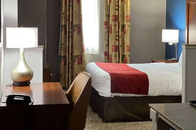 Süit, 1 En Büyük (King) Boy Yatak ve Çekyat, Engellilere Uygun, Sigara İçilmez (Roll-In Shower)