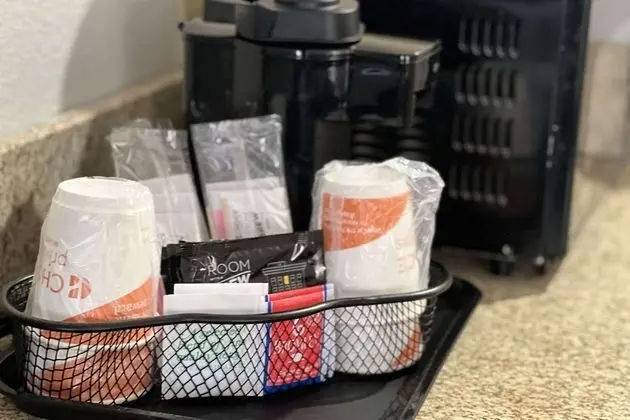 Süit, 1 En Büyük (King) Boy Yatak ve Çekyat, Engellilere Uygun, Sigara İçilmez (Roll-In Shower)