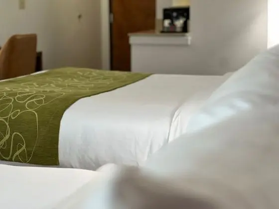 Süit, Sigara İçilmez (2 Queen Beds & 1 Sofa Bed)