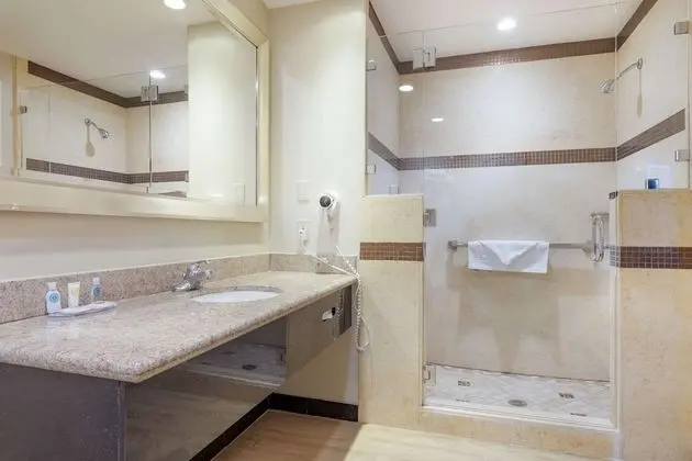 Süit, 1 En Büyük (King) Boy Yatak ve Çekyat, Sigara İçilmez (Hot Tub)