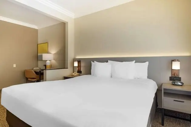 Süit, 1 En Büyük (King) Boy Yatak ve Çekyat, Sigara İçilmez (Sofa Bed, Living Room,)