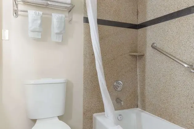 Süit, 1 En Büyük (King) Boy Yatak ve Çekyat, Sigara İçilmez (Sofa Bed, Living Room,)