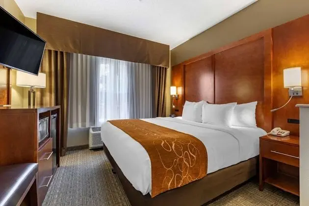 Süit, 1 En Büyük (King) Boy Yatak, Sigara İçilmez (Upgrade)