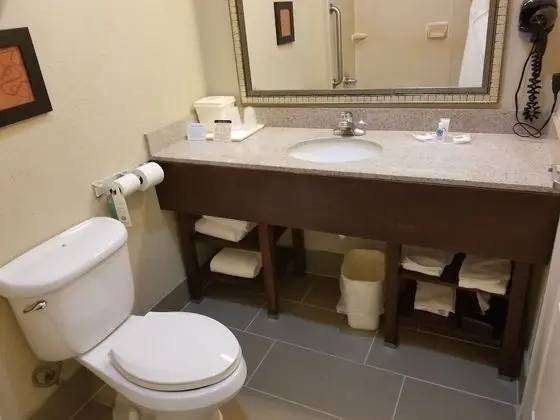 Deluxe Süit, Birden Çok Yatak, Sigara İçilmez