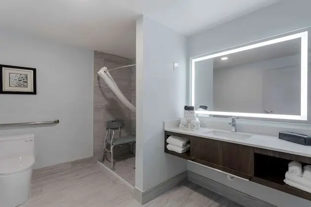 Süit, 1 En Büyük (King) Boy Yatak ve Çekyat, Engellilere Uygun, Sigara İçilmez (Roll-In Shower)