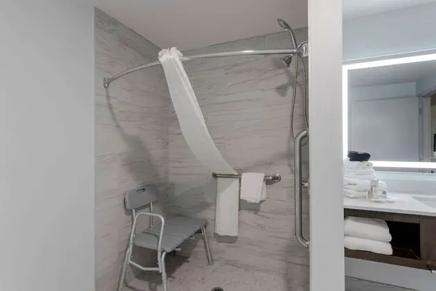 Süit, 1 En Büyük (King) Boy Yatak ve Çekyat, Engellilere Uygun, Sigara İçilmez (Roll-In Shower)