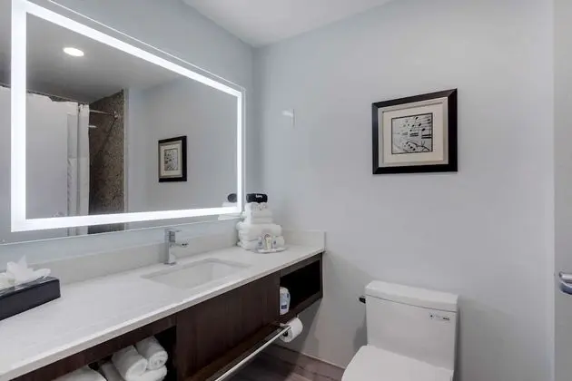 Süit, 1 En Büyük (King) Boy Yatak ve Çekyat, Engellilere Uygun, Sigara İçilmez (Roll-In Shower)
