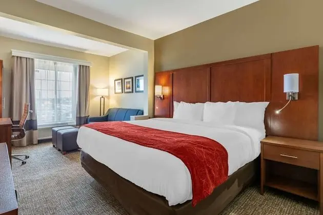 Süit, 1 En Büyük (King) Boy Yatak, Engellilere Uygun, Sigara İçilmez