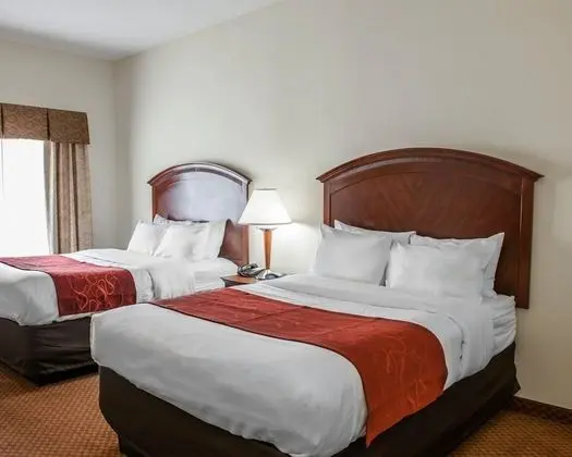 Stüdyo Süit (2 Queen Beds with Sofa Bed)