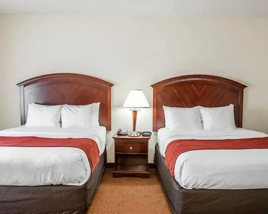Stüdyo Süit (2 Queen Beds with Sofa Bed)