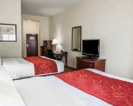 Stüdyo Süit (2 Queen Beds with Sofa Bed)