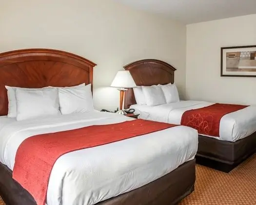 Stüdyo Süit (2 Queen Beds with Sofa Bed)