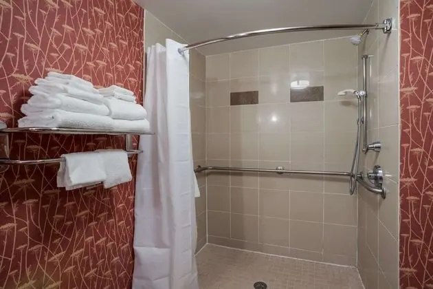 Süit, 1 En Büyük (King) Boy Yatak ve Çekyat, Engellilere Uygun, Sigara İçilmez (Roll-In Shower)