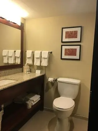 Suite 2 Doubles Non Smoking 2 person Sofabed