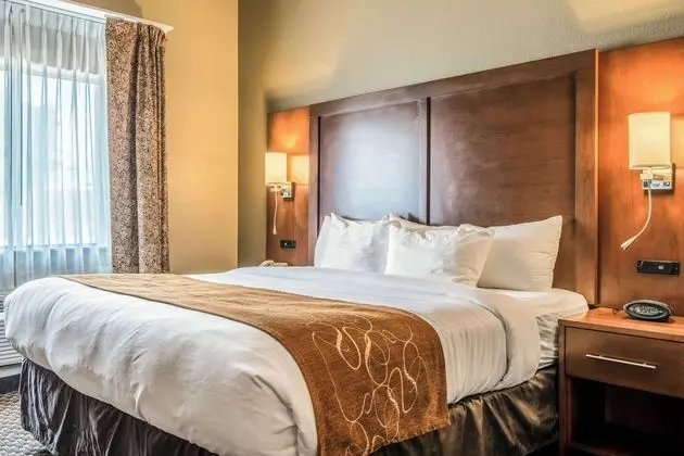 Oda