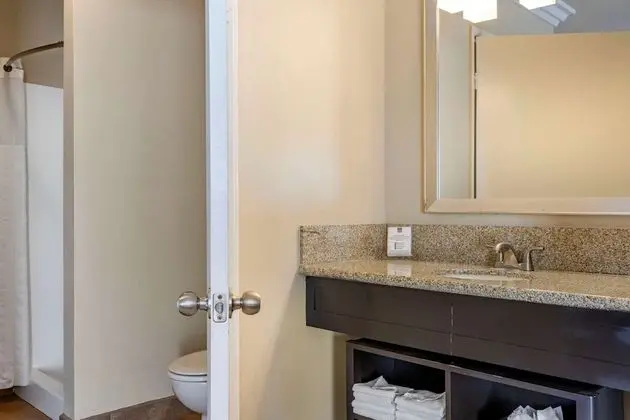Deluxe Suite, 1 King Bed with Sofabed, Jetted Tub, Non Smoking