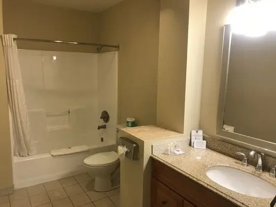 Deluxe Suite, 1 King Bed with Sofabed, Jetted Tub, Non Smoking