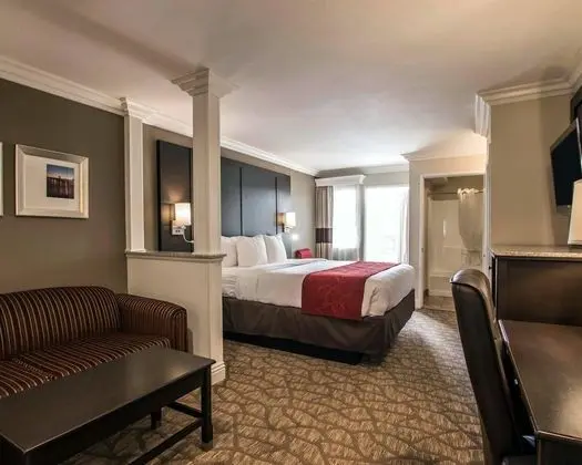 Suite, 1 King Bed with Sofabed, Non Smoking
