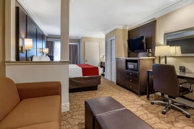 Suite, 1 King Bed with Sofabed, Non Smoking