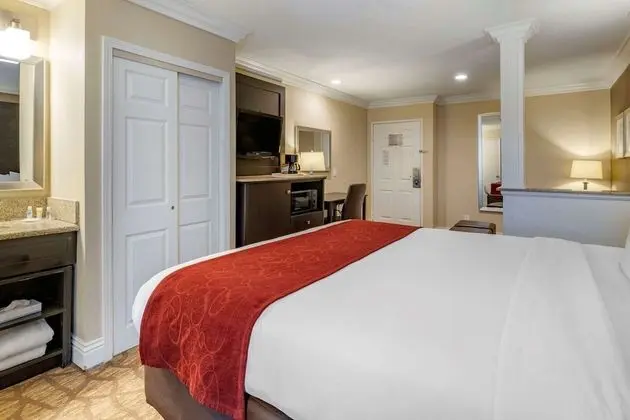 Suite, 1 King Bed with Sofabed, Non Smoking