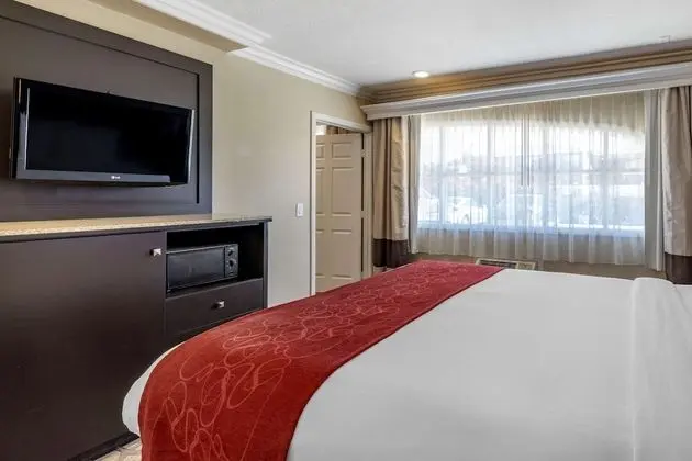 Suite, 1 King Bed with Sofabed, Non Smoking