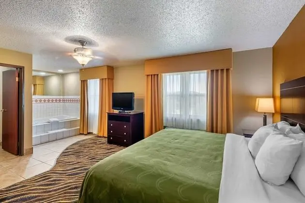 Business Suite, 1 King Bed with Sofa bed, Non Smoking, Jacuzzi