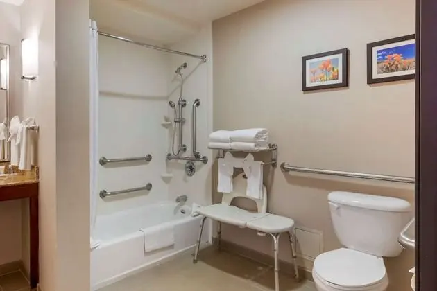 Basic Tek Kişilik Oda, 1 En Büyük (King) Boy Yatak ve Çekyat, Engellilere Uygun (Bathtub)