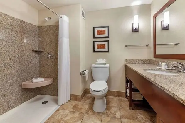 Standard Oda, 1 En Büyük (King) Boy Yatak, Engellilere Uygun (Communication, Roll-In Shower)