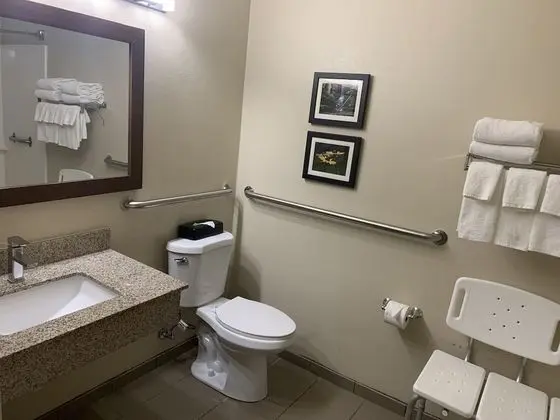Süit, 1 Büyük (Queen) Boy Yatak ve Çekyat, Engellilere Uygun, Sigara İçilmez (Accessible Tub)
